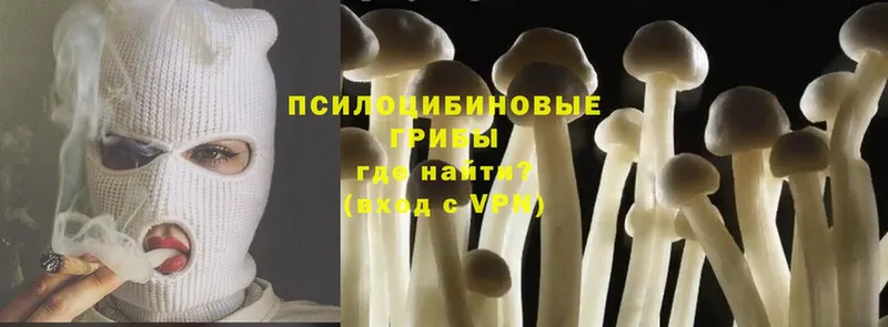 Галлюциногенные грибы MAGIC MUSHROOMS Белёв